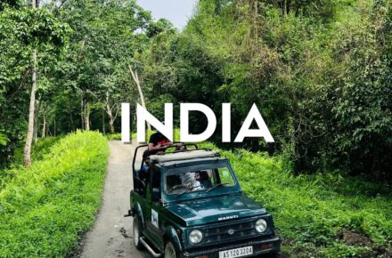 INDIA SAFARI IN JEEP