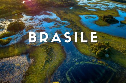 Brasile - Pantanal