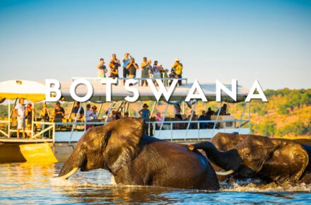 BOTWANA SAFARI CHOBE