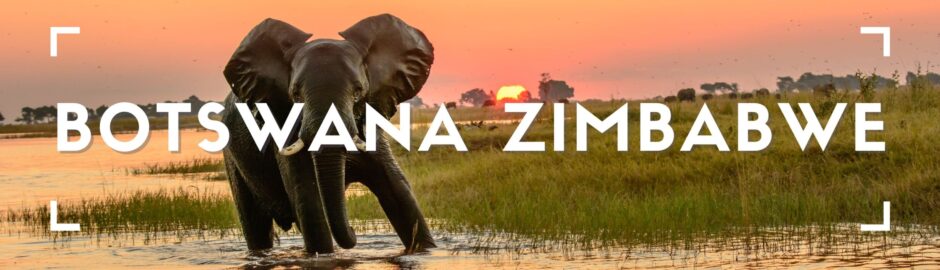 Elefante in acqua nel Delta dell’Okavango al tramonto, safari Botswana Zimbabwe