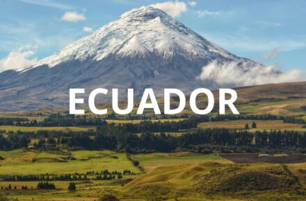 Vulcano Cotopaxi in Ecuador con cima innevata nel Parco Nazionale Cotopaxi sotto cielo azzurro andino