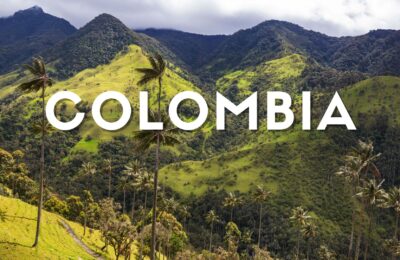 Paesaggio della Valle del Cocora con alte palme di cera nel Quindío, Colombia