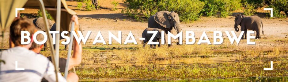 Safari nel Delta dell’Okavango in Botswana con elefanti nella savana africana al tramonto