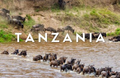 Safari Grande migrazione in Tanzania